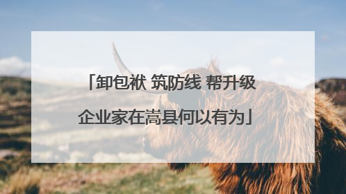 卸包袱 筑防线 帮升级 企业家在嵩县何以有为
