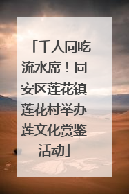 千人同吃流水席！同安区莲花镇莲花村举办莲文化赏鉴活动