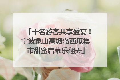 千名游客共享盛宴！宁波象山高塘岛西瓜集市甜蜜启幕乐翻天