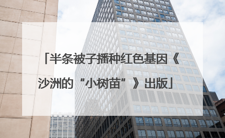 半条被子播种红色基因《沙洲的“小树苗”》出版