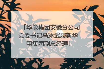华能集团安徽分公司党委书记马冰武履新华电集团副总经理
