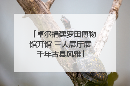 卓尔捐建罗田博物馆开馆 三大展厅展千年古县风雅
