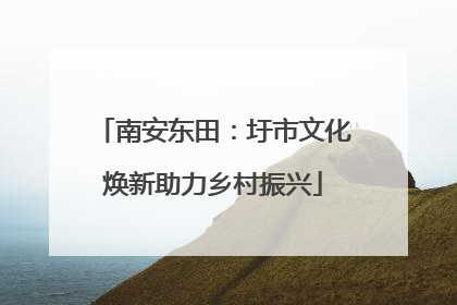 南安东田：圩市文化焕新助力乡村振兴