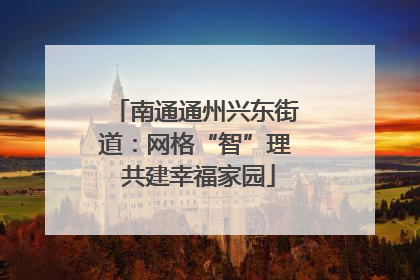南通通州兴东街道：网格“智”理 共建幸福家园