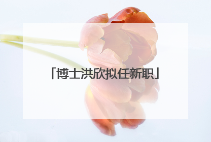 博士洪欣拟任新职