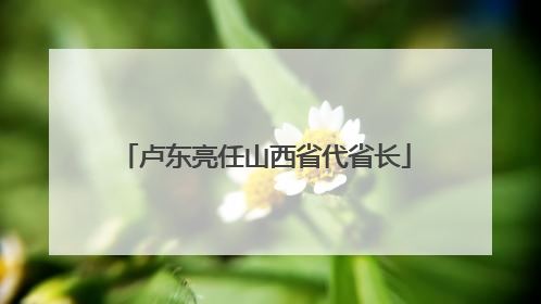 卢东亮任山西省代省长