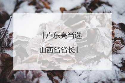 卢东亮当选山西省省长