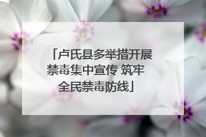 卢氏县多举措开展禁毒集中宣传 筑牢全民禁毒防线
