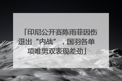 印尼公开赛陈雨菲因伤退出“内战”，国羽各单项唯男双表现差劲