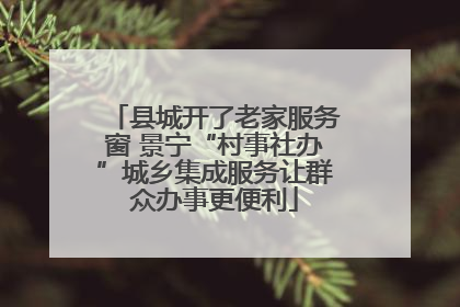 县城开了老家服务窗 景宁“村事社办”城乡集成服务让群众办事更便利