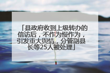 县政府收到上级转办的信访后，不作为慢作为，引发重大舆情，分管副县长等25人被处理