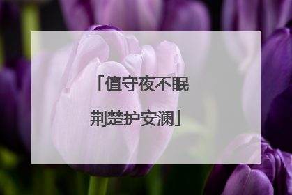 值守夜不眠 荆楚护安澜