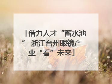 借力人才“蓄水池” 浙江台州眼镜产业“看”未来