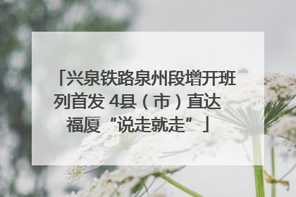 兴泉铁路泉州段增开班列首发 4县（市）直达福厦“说走就走”