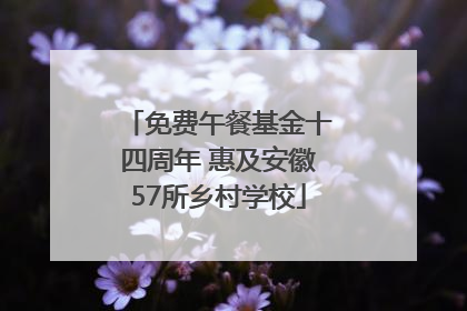 免费午餐基金十四周年 惠及安徽57所乡村学校