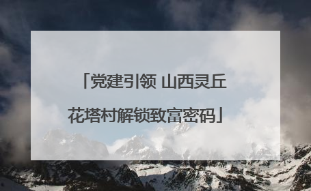 党建引领 山西灵丘花塔村解锁致富密码