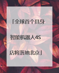 全球首个具身智能机器人4S店将落地北京