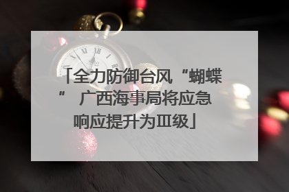 全力防御台风“蝴蝶” 广西海事局将应急响应提升为Ⅲ级