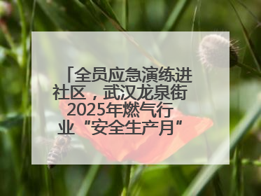 全员应急演练进社区，武汉龙泉街2025年燃气行业“安全生产月”宣传活动举行