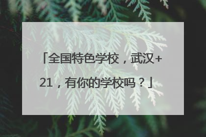 全国特色学校，武汉+21，有你的学校吗？