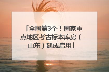 全国第3个！国家重点地区考古标本库房（山东）建成启用
