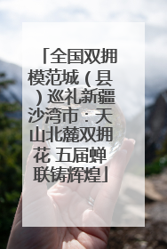 全国双拥模范城（县）巡礼新疆沙湾市：天山北麓双拥花 五届蝉联铸辉煌