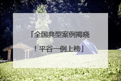 全国典型案例揭晓！平谷一例上榜