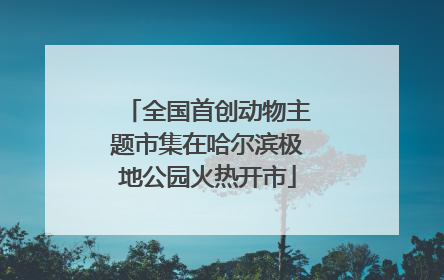 全国首创动物主题市集在哈尔滨极地公园火热开市