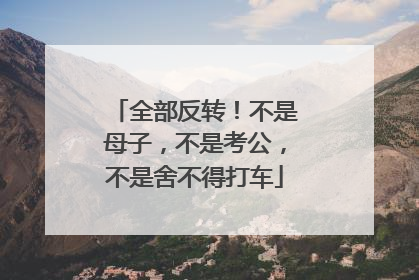 全部反转！不是母子，不是考公，不是舍不得打车