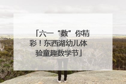 六一“数”你精彩！东西湖幼儿体验童趣数学节