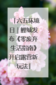 六五环境日｜鲤城发布《零废弃生活指南》开启露营新玩法