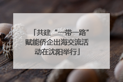 共建“一带一路”赋能侨企出海交流活动在沈阳举行