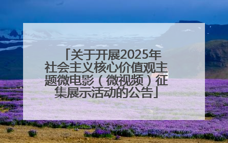 关于开展2025年社会主义核心价值观主题微电影（微视频）征集展示活动的公告