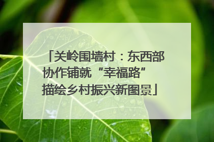 关岭围墙村：东西部协作铺就“幸福路” 描绘乡村振兴新图景