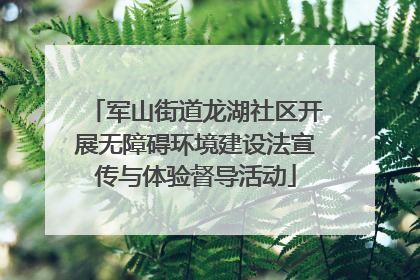 军山街道龙湖社区开展无障碍环境建设法宣传与体验督导活动