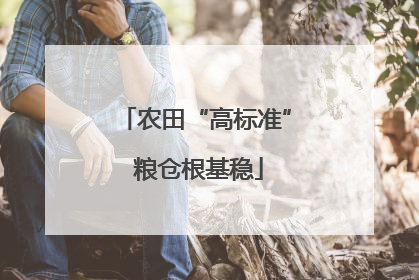 农田“高标准” 粮仓根基稳