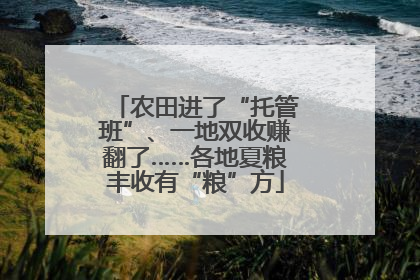 农田进了“托管班”、一地双收赚翻了……各地夏粮丰收有“粮”方