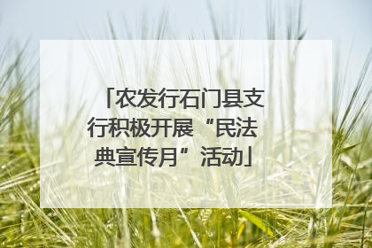 农发行石门县支行积极开展“民法典宣传月”活动