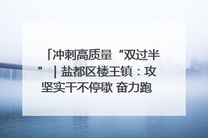 冲刺高质量“双过半”｜盐都区楼王镇：攻坚实干不停歇 奋力跑赢“上半场”