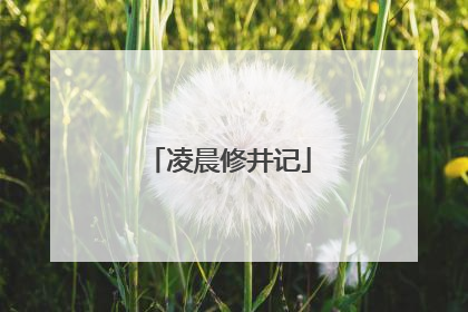 凌晨修井记