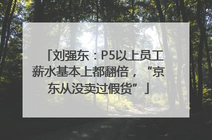 刘强东：P5以上员工薪水基本上都翻倍，“京东从没卖过假货”