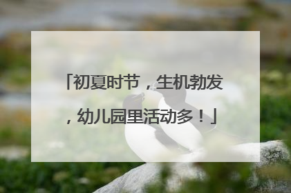 初夏时节，生机勃发，幼儿园里活动多！
