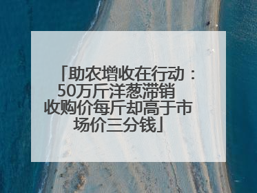 助农增收在行动：50万斤洋葱滞销 收购价每斤却高于市场价三分钱