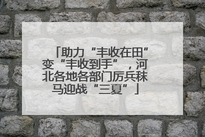 助力“丰收在田”变“丰收到手”，河北各地各部门厉兵秣马迎战“三夏”