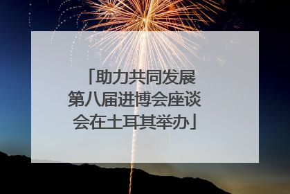 助力共同发展 第八届进博会座谈会在土耳其举办
