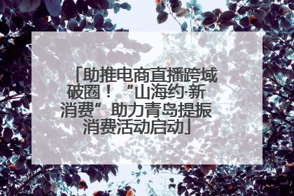 助推电商直播跨域破圈！“山海约·新消费”助力青岛提振消费活动启动