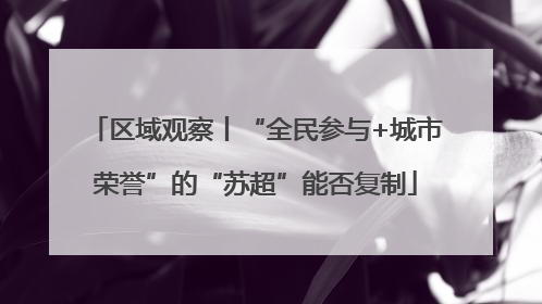 区域观察丨“全民参与+城市荣誉”的“苏超”能否复制