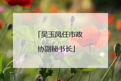 吴玉凤任市政协副秘书长