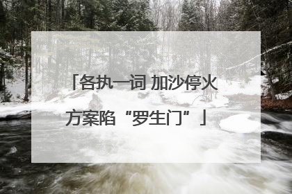 各执一词 加沙停火方案陷“罗生门”