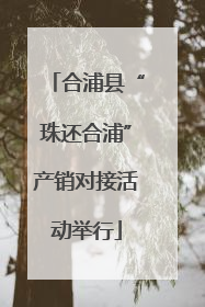合浦县“珠还合浦”产销对接活动举行
